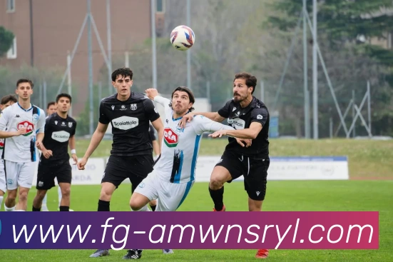 威尼斯人娱乐官网平台生态图